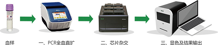 百傲基囙檢測流程